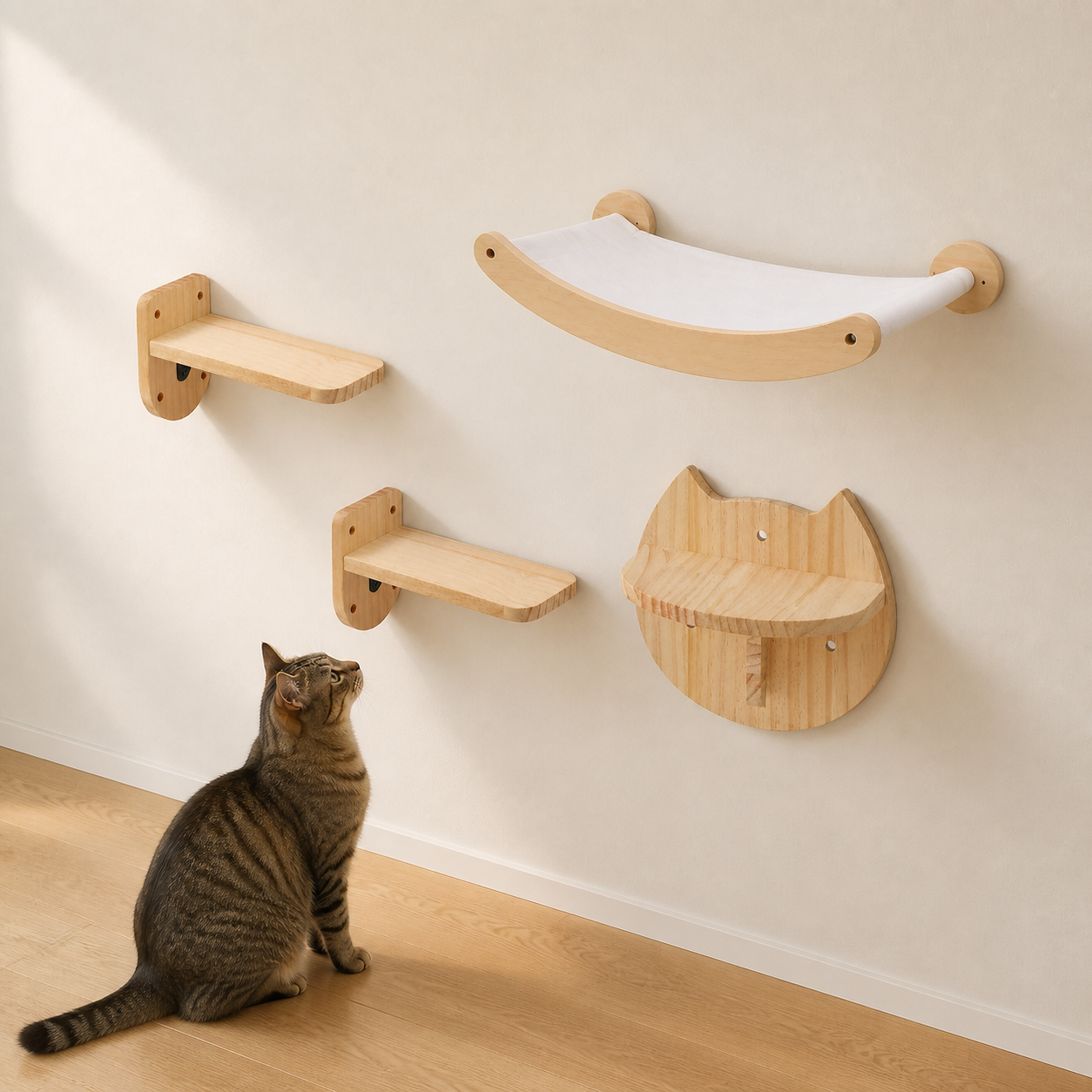 Kit Découverte Chaltitude en situation avec un chat
